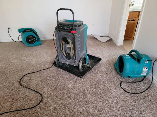 Best Mold removal after water damage  in Mckees Rocks, PA