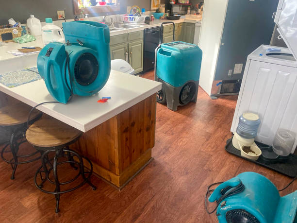 Best Water damage restoration near me  in Mckees Rocks, PA