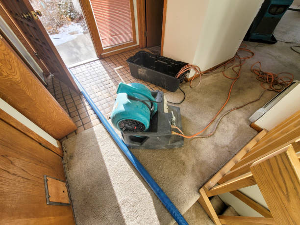 Best Flood damage cleanup  in Mckees Rocks, PA