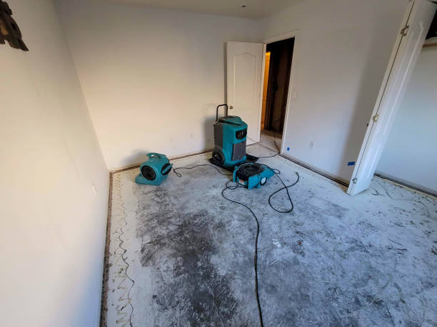 Best Basement water damage restoration  in Mckees Rocks, PA