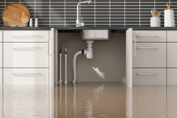 Best Carpet water damage restoration  in Mckees Rocks, PA