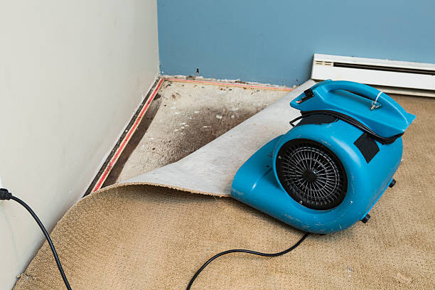 Best Ceiling water damage repair  in Mckees Rocks, PA